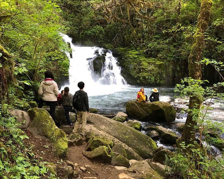 students on hike at Sweet Creek Falls